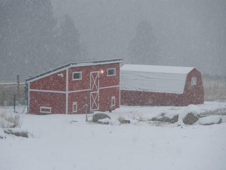 2 big barn in snow