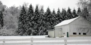 Plan for Spring and Summer