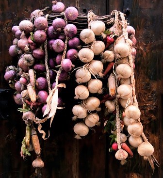 Creating and Building Root Cellars