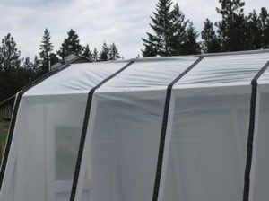 Build a high tunnel or greenhouse