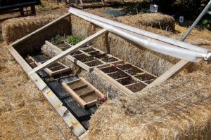 DIY cold frames