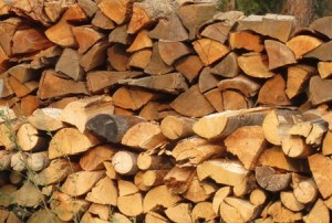7 reasons firewood We don't trust our leaders, both political and economic