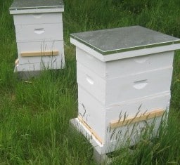 making money with bees and selling honey