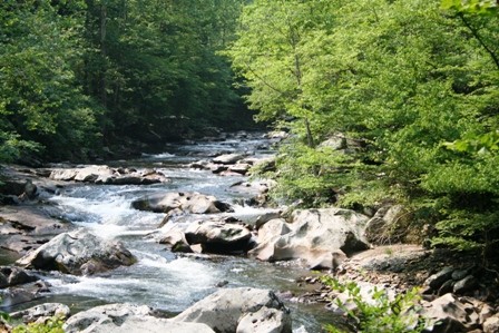 make ends meet income stream Reduce Irrigation Water Usage