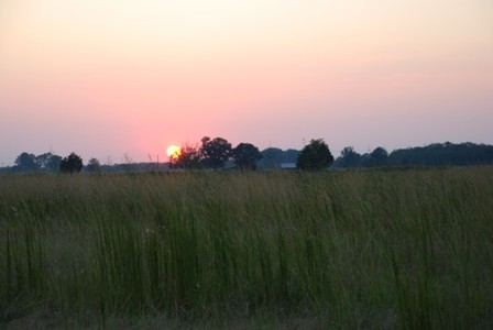 make ends meet sunrise farm Making Ends Meet on the Farm