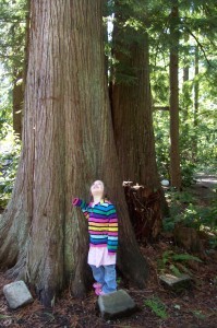 Little girl on large tree trunk