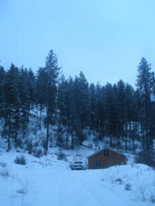 Snowy house and trees