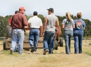 Farm people walking on field