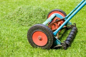 starting a lawn care business