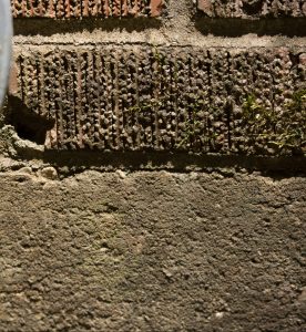 seal entry points to not attract rats