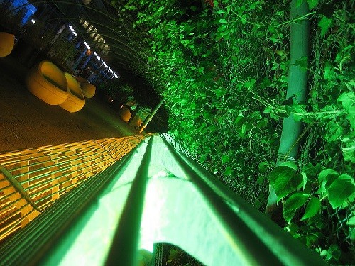 Best LED Grow Lights for Indoor Plants