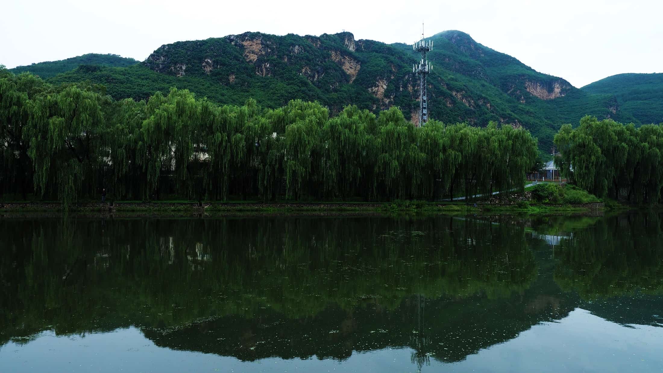 Why Do You Need a Cell Phone Signal Booster?