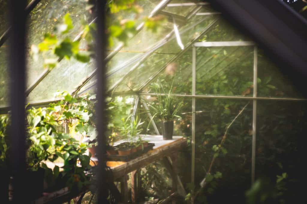 Glass Greenhouse kits