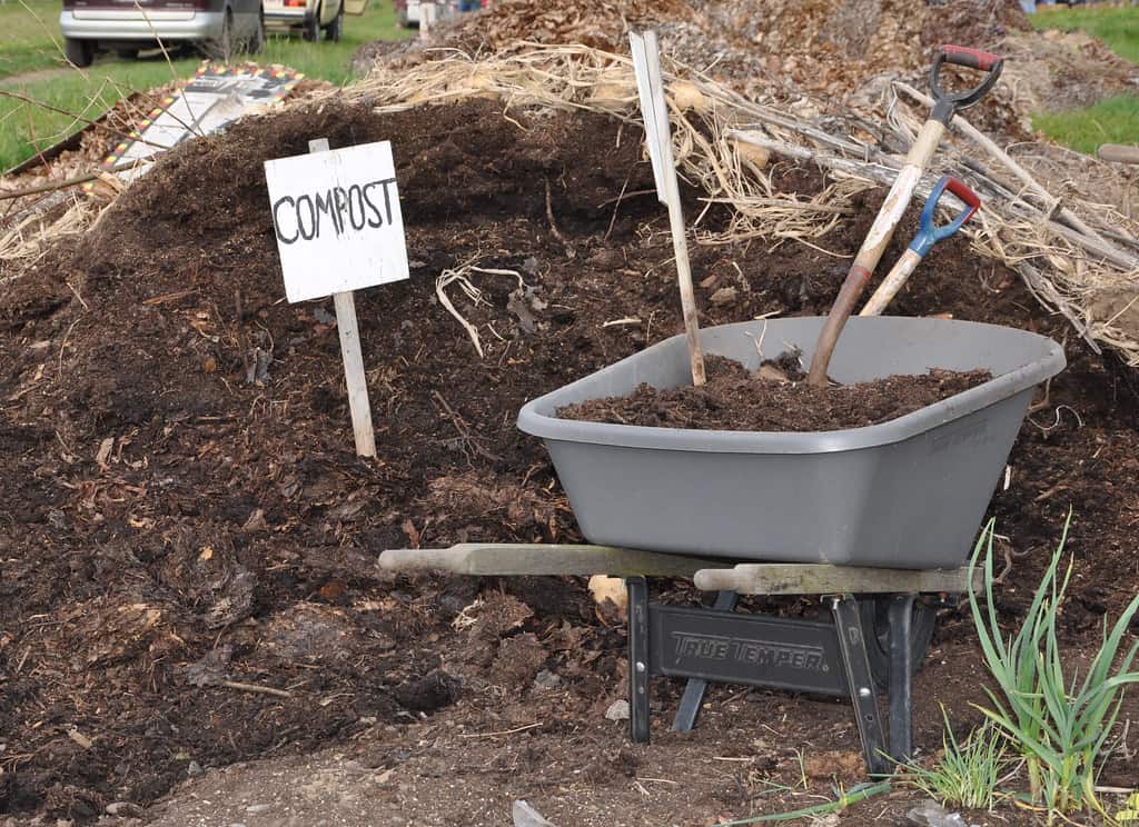 How to Start Composting