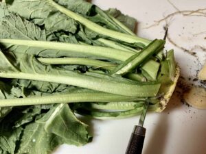 turnip greens from garden