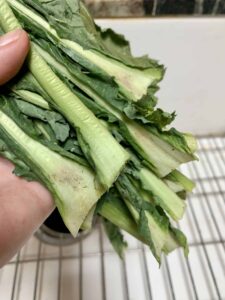 washing turnip greens