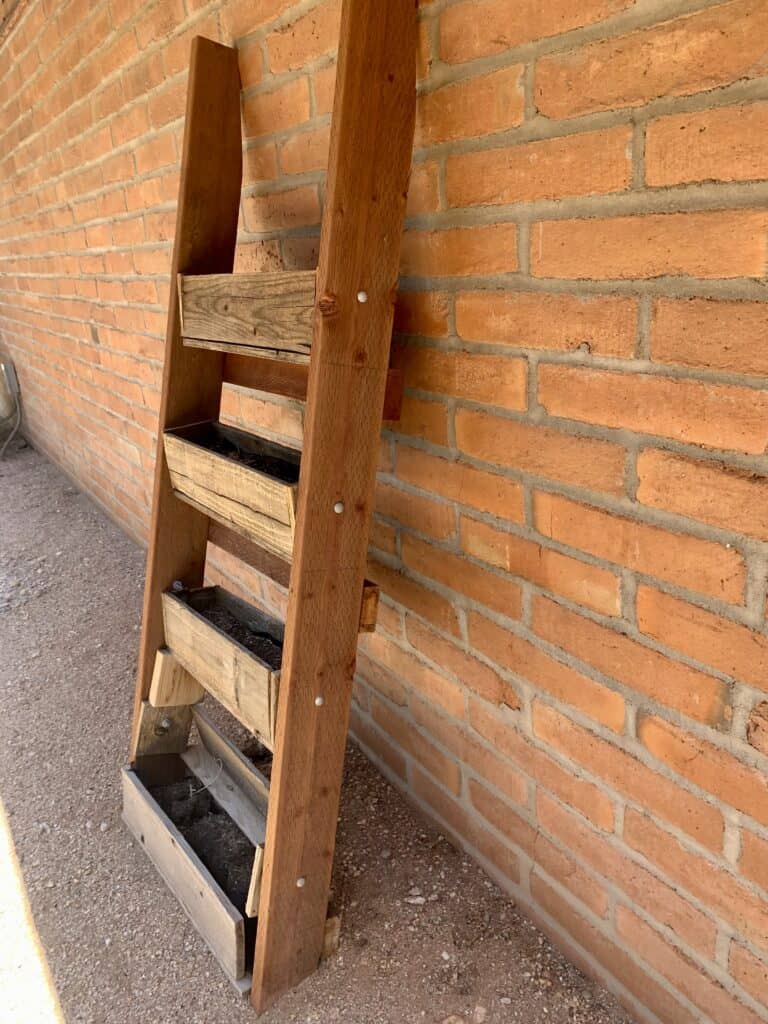 vertical garden ladder