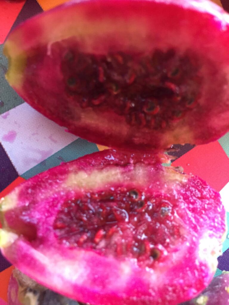 inside of a prickly pear