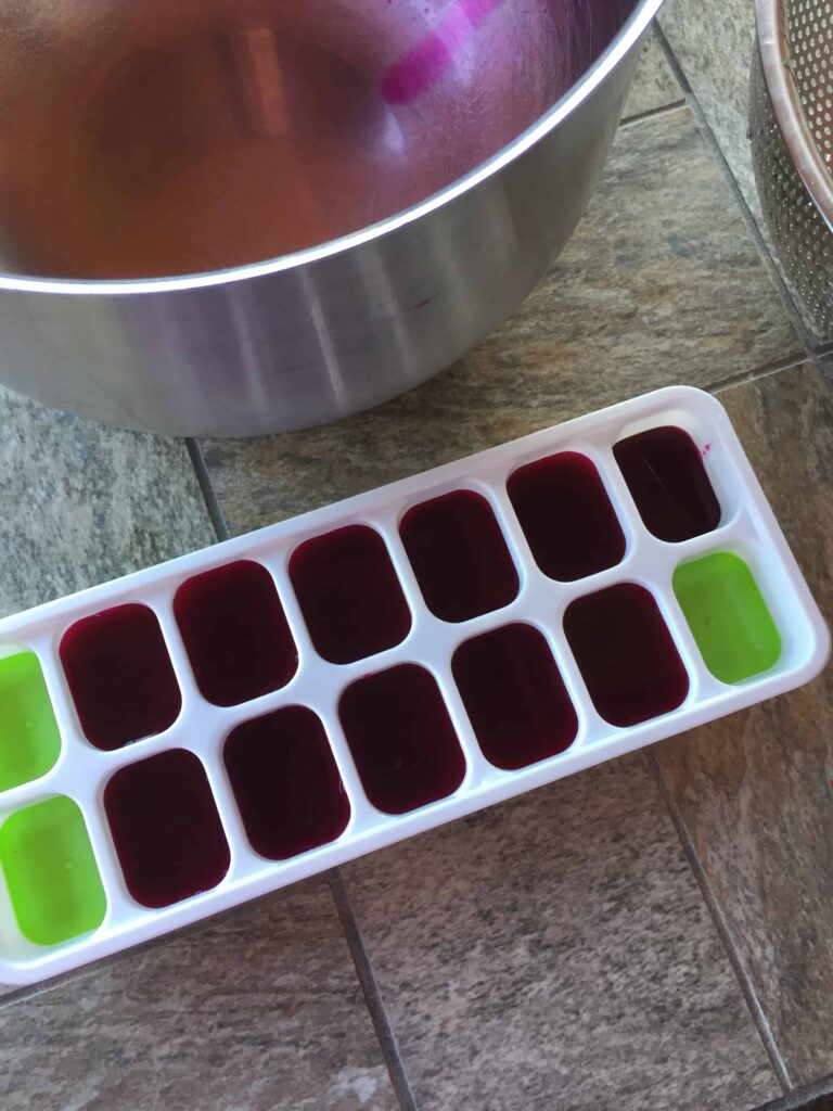 Storing prickly pear juice