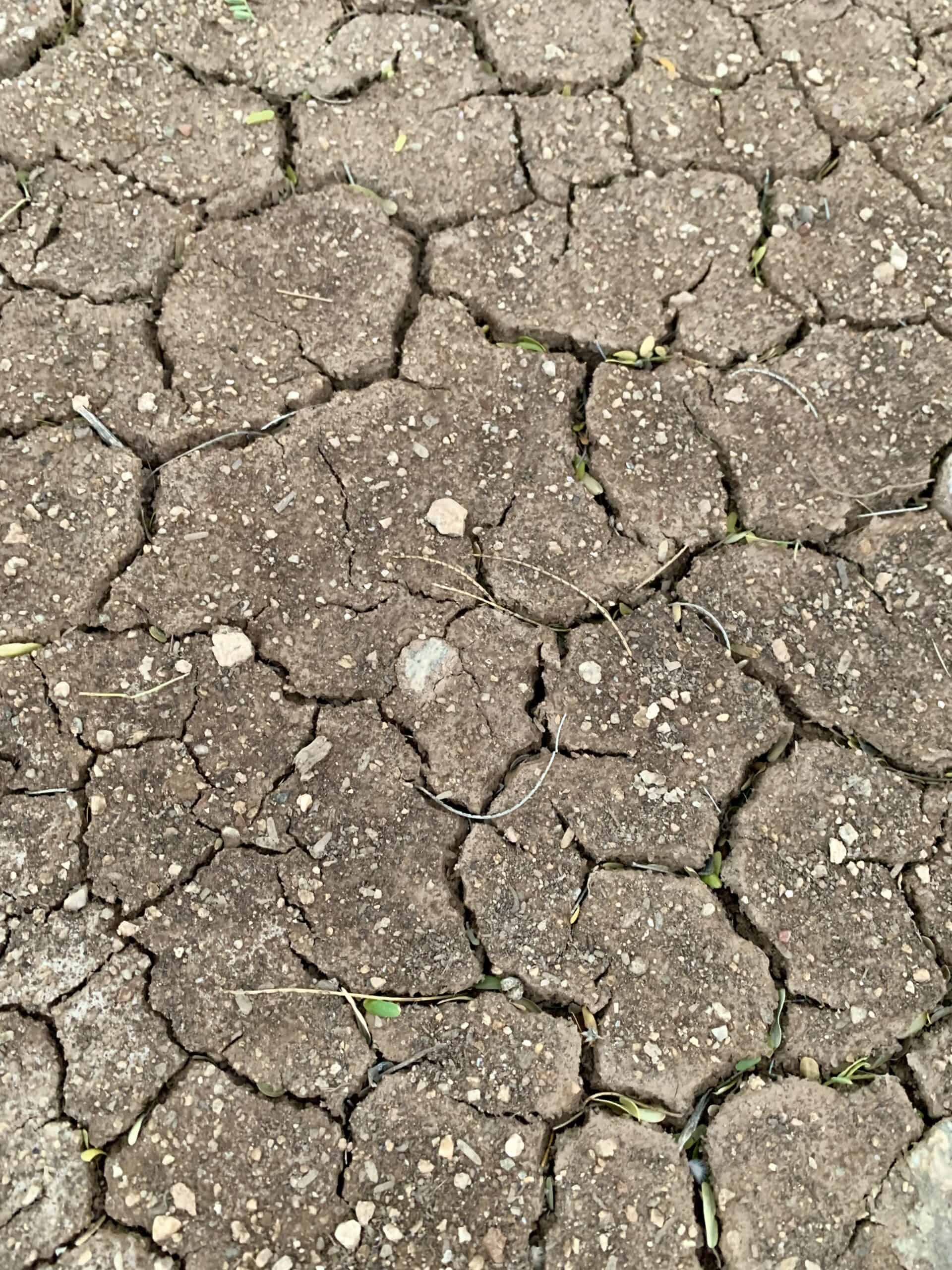 gardening in poor soil