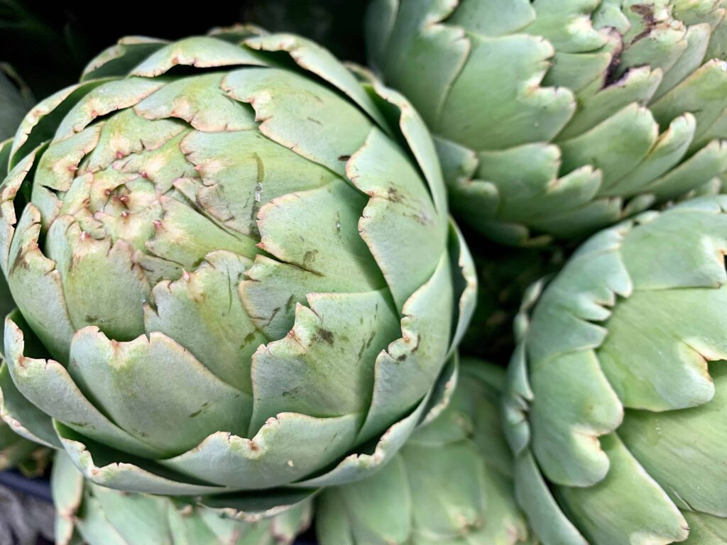 artichokes