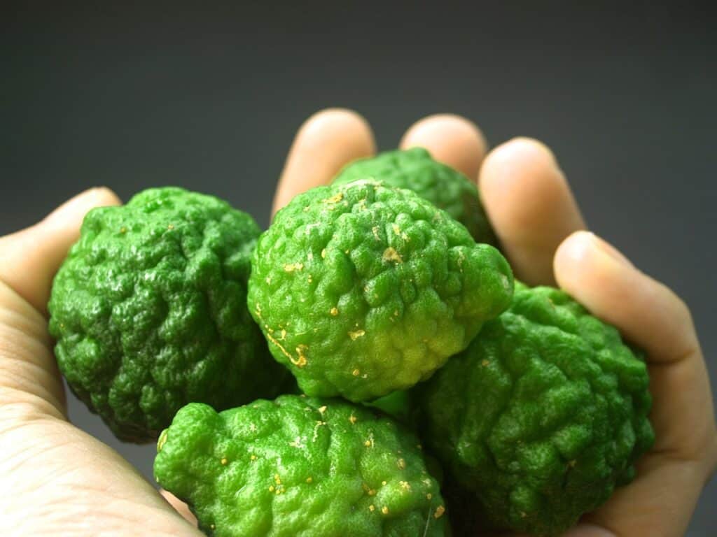 kaffir limes