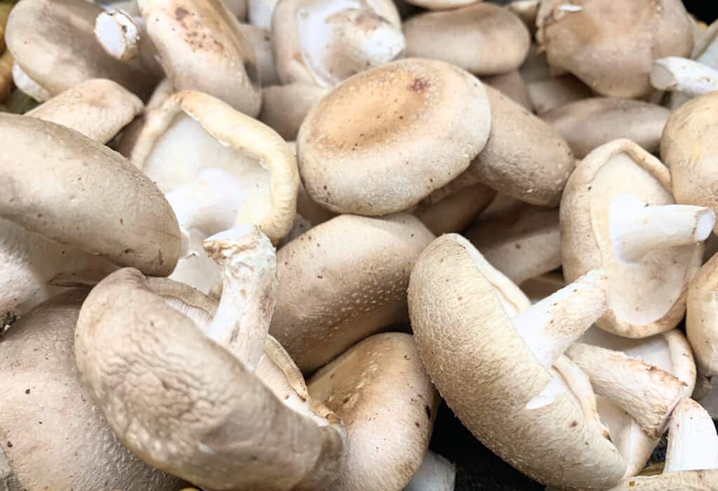 Shiitake mushrooms