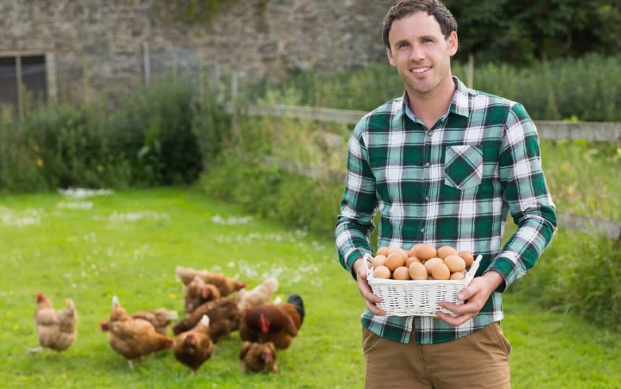 California tan chicken