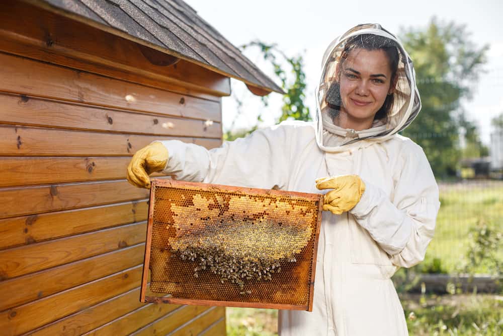 how to become a beekeeper
